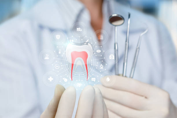Best Dental Exams and Cleanings  in Terre Haute, IN